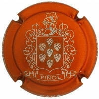 JOAN PIÑOL TORRENTS X. 165846