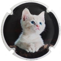 JOAN PIÑOL TORRENTS X. 174974