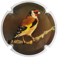 JOAN PIÑOL TORRENTS X. 174975