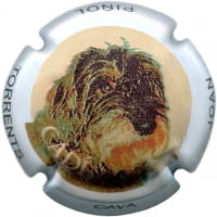 JOAN PIÑOL TORRENTS X. 165838