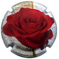 CAPITA VIDAL X. 171620