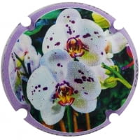 BUTI-MASANA X. 178307