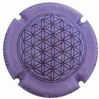 COSMIC VINATERS X. 155457