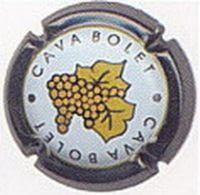 BOLET V. 2470 X. 04873 (FULLA DAURADA)