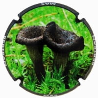 MAS BERTRAN X. 171070