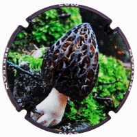 MAS BERTRAN X. 171068