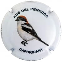 CUSCO BERGA X. 147201 (CAPSIGRANY)