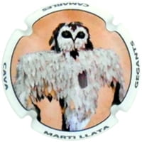 MARTI LLATA X. 146693 (CAMARLES)