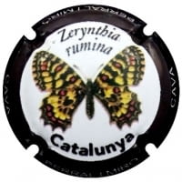 BERRAL I MIRO X. 159882