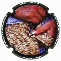 AVAC BO X. 165116 (RIBERA D'EBRE)