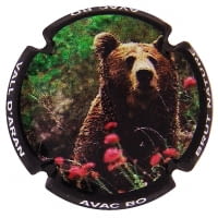 AVAC BO X. 162677 (VALL D'ARAN)