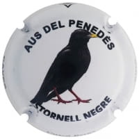 CUSCO BERGA X. 160323 (ESTORNELL NEGRE)