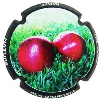 AVAC BO X. 191355 (PLA D'URGELL)