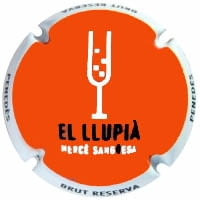 CAL LLUPIA DE PLA DE MOREI X. 165095