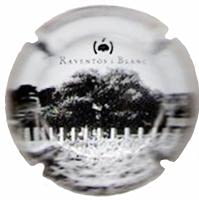 RAVENTOS I BLANC V. 6510 X. 10937 (TONS CLARS)