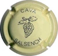 SALSENCH X. 83587