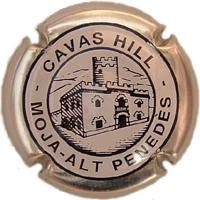 CAVAS HILL V. 5689 X. 10890