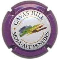 CAVAS HILL V. 8093 X. 28065
