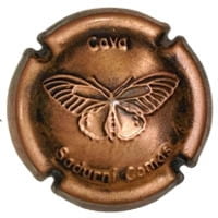 SADURNI COMAS CODORNIU X. 137510