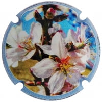 BUTI-MASANA X. 180355