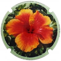 BUTI-MASANA X. 177578