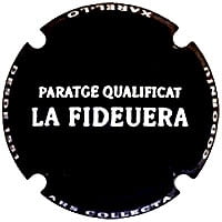 CODORNIU X. 164576 (LA FIDEUERA - PARATGE QUALIFICAT)