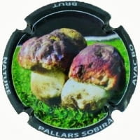 AVAC BO X. 196568 (PALLARS SOBIRA)