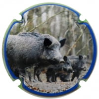 XIC D'ALFONS X. 179028