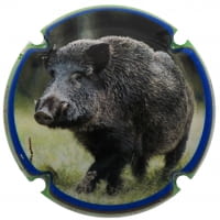 XIC D'ALFONS X. 179029