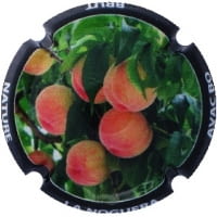 AVAC BO X. 200035 (LA NOGUERA)