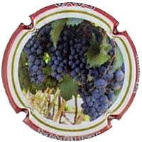 MAGUST X. 130081 MAGNUM