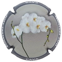 JUST PRESENTS X. 176539