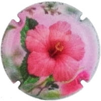 EL CELLER VELL X. 148505