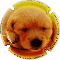 EL CELLER VELL X. 137671