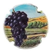 EL CELLER VELL X. 141388