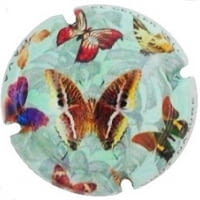 EL CELLER VELL X. 158560