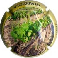 DEMI  SUBTIL X. 62664