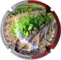 DEMI  SUBTIL X. 62663