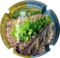 DEMI  SUBTIL X. 62662