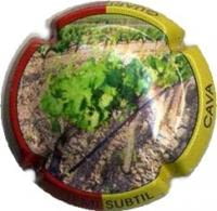 DEMI  SUBTIL X. 62661