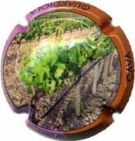 DEMI  SUBTIL X. 62657