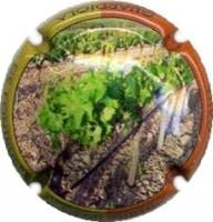 DEMI  SUBTIL X. 62660