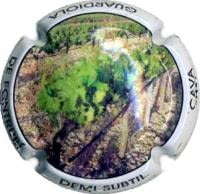 DEMI  SUBTIL X. 57432