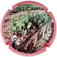 DEMI  SUBTIL X. 54841