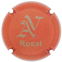 VIVES AMBROS X. 198353 (ROSAT)