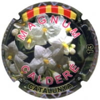 CALDERE X. 169304 MAGNUM