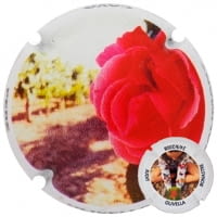 PERE OLIVELLA GALIMANY X. 155421