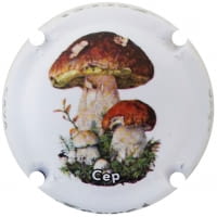 FERRET X. 204534 (CEP)