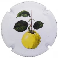 GRAU DORIA X. 154051