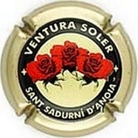 VENTURA SOLER V. 3114 X. 01099